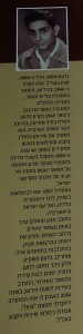 תקציר